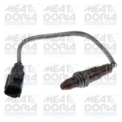 Oxygen Sensor